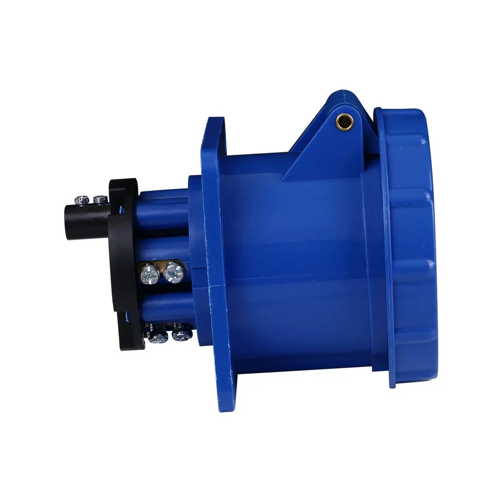 TOMA CAJA 63A 2P+T250V  333 - Image 2